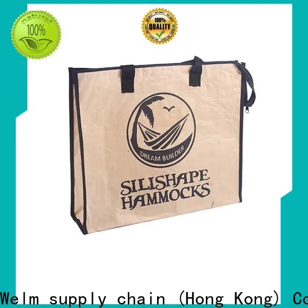 welmpackaging BolsadepapelkraftAcceptasmallamountofcustomizedlogo120gbrownkraftpaperwhitekraftpaperkraftpaperbags130 1