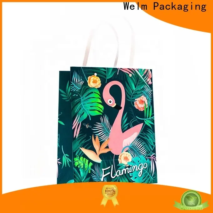 welmpackaging BolsadepapelkraftAcceptasmallamountofcustomizedlogo120gbrownkraftpaperwhitekraftpaperkraftpaperbags133 1