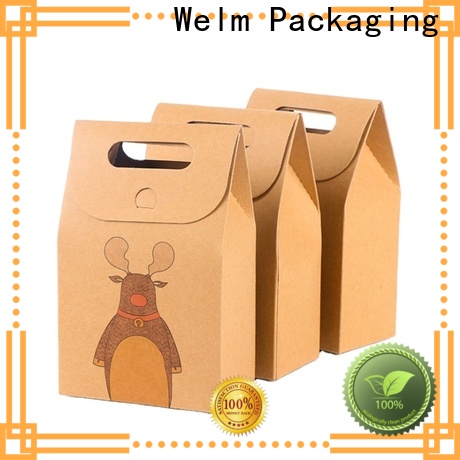welmpackaging BolsadepapelkraftAcceptasmallamountofcustomizedlogo120gbrownkraftpaperwhitekraftpaperkraftpaperbags152 1