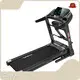 Best Best Treadmill for Over 300 Pounds Best Treadmill for Over 300 Pounds Company 1