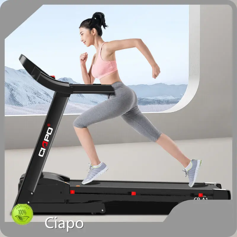 High Quality Wholesale Commercial Fitness Equipment for Sale 1