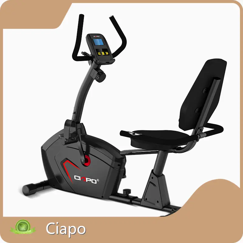 Home Treadmill for Heavy Person Price List 1