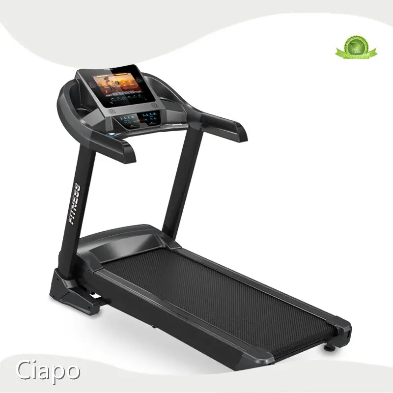 High Quality Commercial Fitness Equipment Supplier Company 1