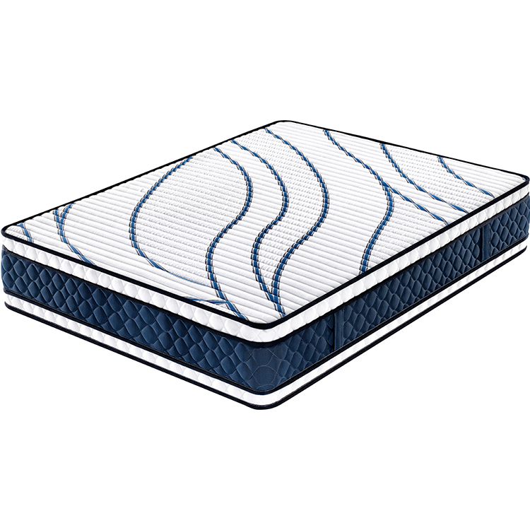 30cm Tight top continuous coil spring mattress factory mattress for dormitory 5