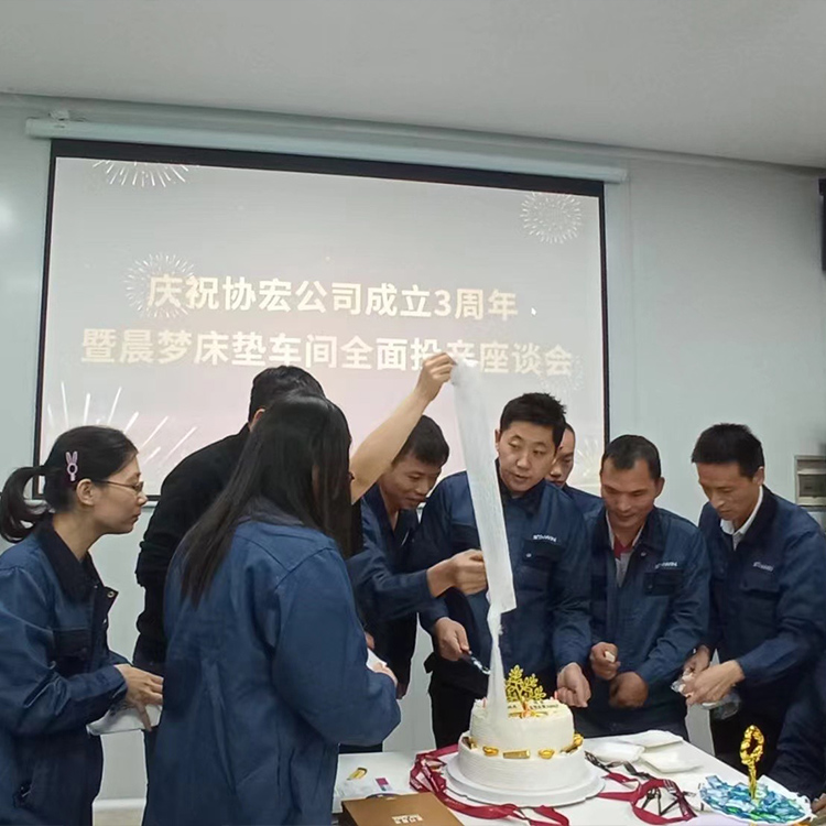 Synwin टोली भवन 3