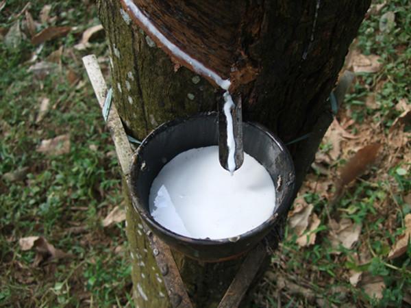 Witte jo Latex matras? 2