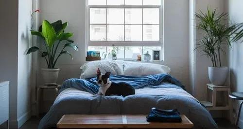 How to select the right mattress in your life? 3