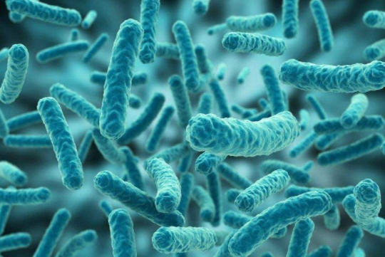 Ĉu la plasta filmo sur la matraco devas esti ŝirita? 2