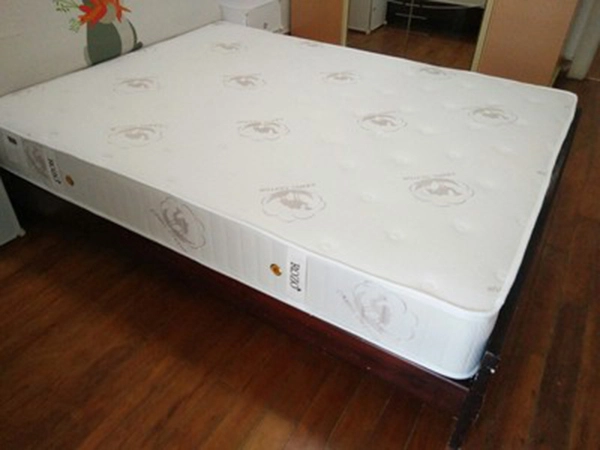 Pocket Spring Mattress Case Studies