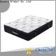 Synwin 5 star hotel mattress brand wholesale at discount 1