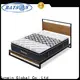 Synwin hotel mattress type competitive factory price best sleep1 1