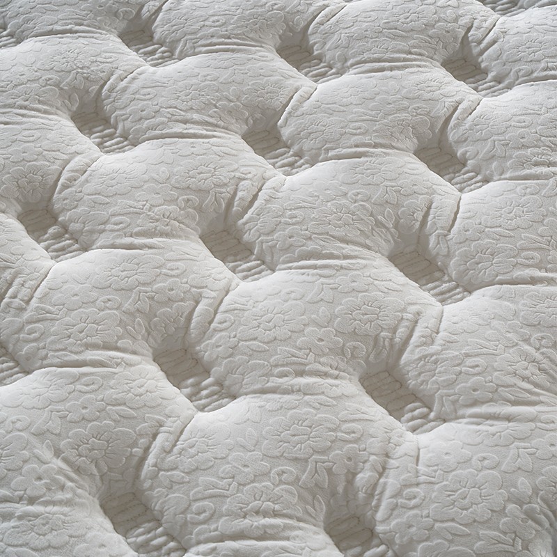 ಉತ್ಪನ್ನ-ರೇಸನ್ ಹಾಸಿಗೆ-img