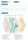 High-quality viscoelastic foam gel Supply 2
