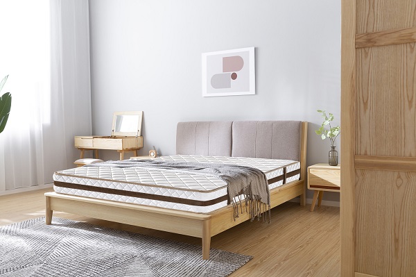 product-Rayson Mattress-Hotel Mattress Two Sides Durable Double Bed Plus Compress Packing Matress Ma