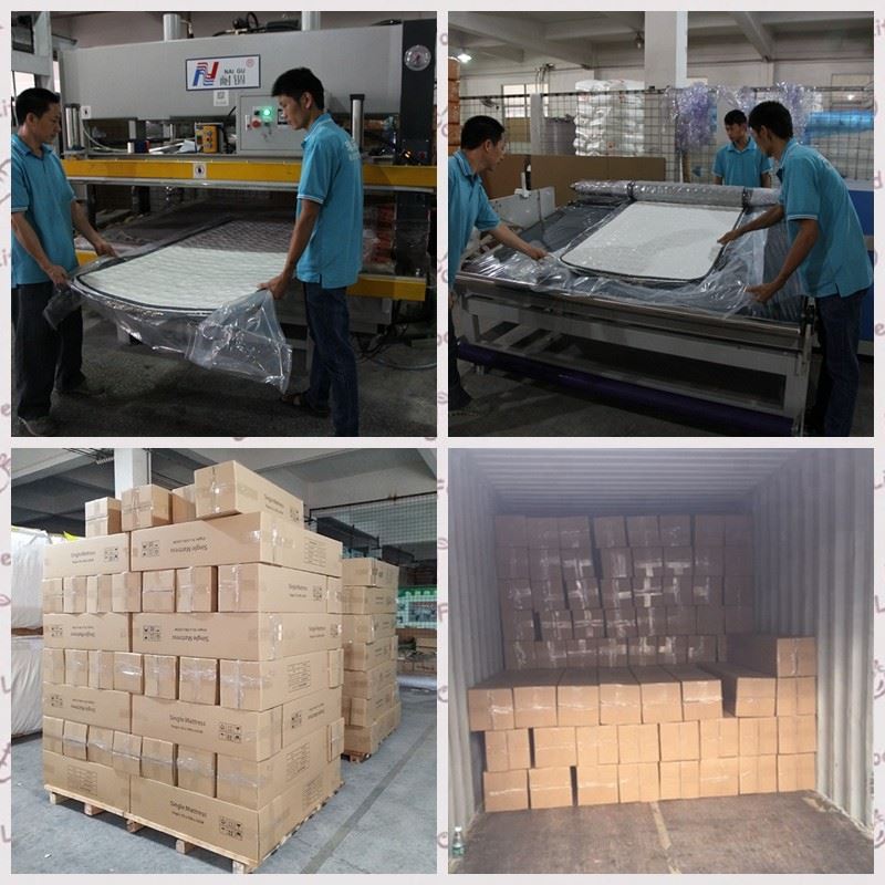 Roll with carton in box.jpg Queen Box Spring Bed Mattress King Size Bonnell Spring Mattress ពូកដែលវេចខ្ចប់រួច 13