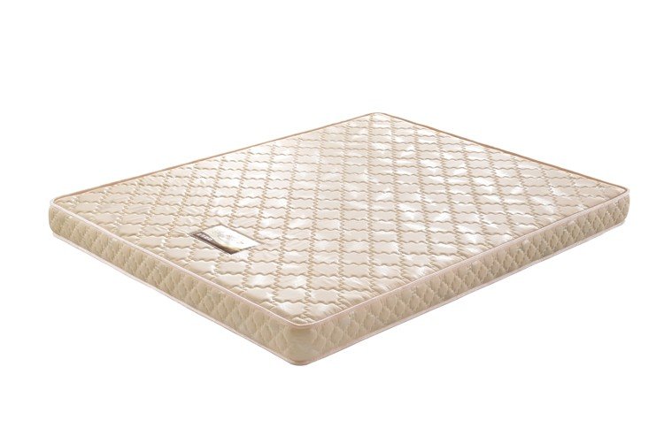 Wholesale Hot Quality Comfort Sleeping Sponge Mattress 3