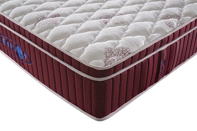 Rayson Mattress king hotel pillow top mattress pad Supply 12