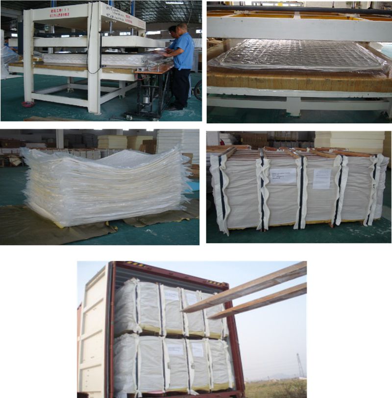 Rayson Mattress-Oem Queen Size Pocket Sprung Mattress Price List | Rayson Spring Mattress-5