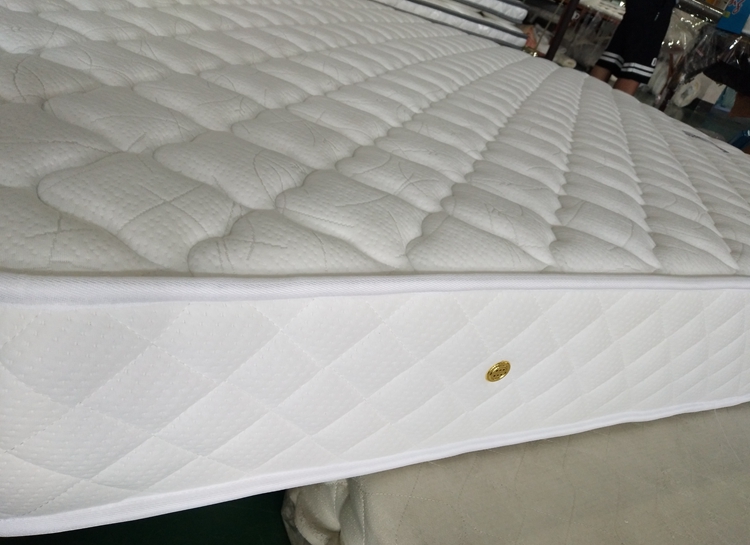 Rayson Mattress-Wholesale Various High Quality Compressed Mattress Products-2