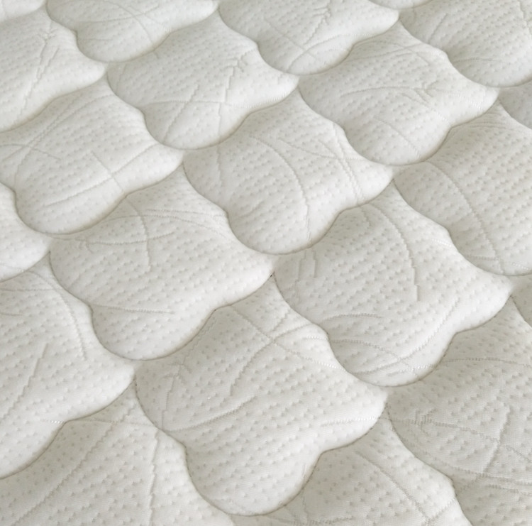 Rayson Mattress-Wholesale Various High Quality Compressed Mattress Products-4
