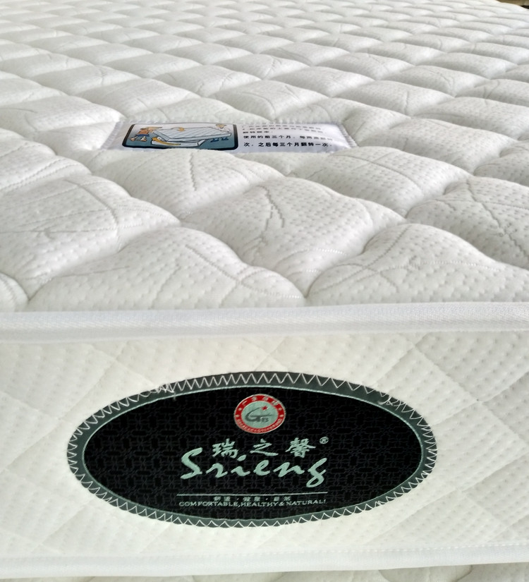 Rayson Mattress-Wholesale Various High Quality Compressed Mattress Products-5