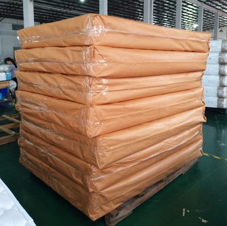 Rayson Mattress-Wholesale Various High Quality Compressed Mattress Products-6