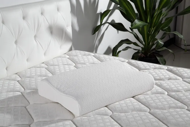 Rayson Mattress Top orthopedic neck pillow manufacturers 4