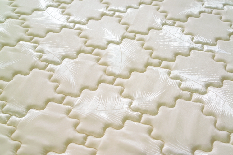 Rayson Mattress-Professional 6 Inch Foam Mattress Supplier-1