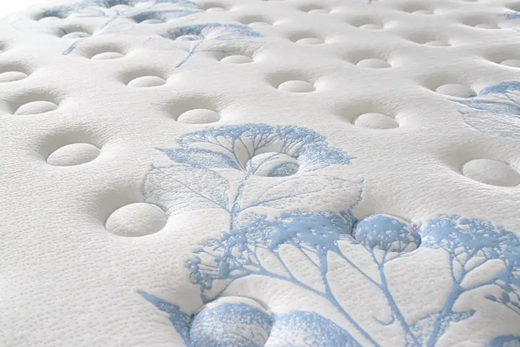 Rayson Mattress Latest best hotel beds Supply 5