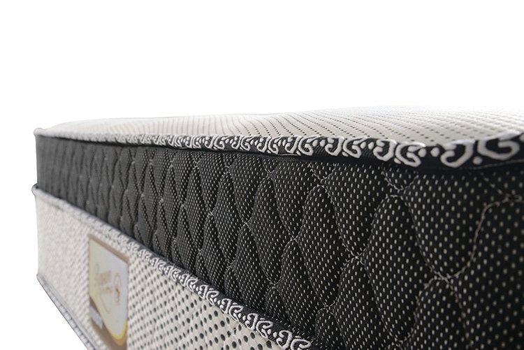 Rayson Mattress-Professional Single Pocket Coil Mattress Customized Double Pocket Spring-4