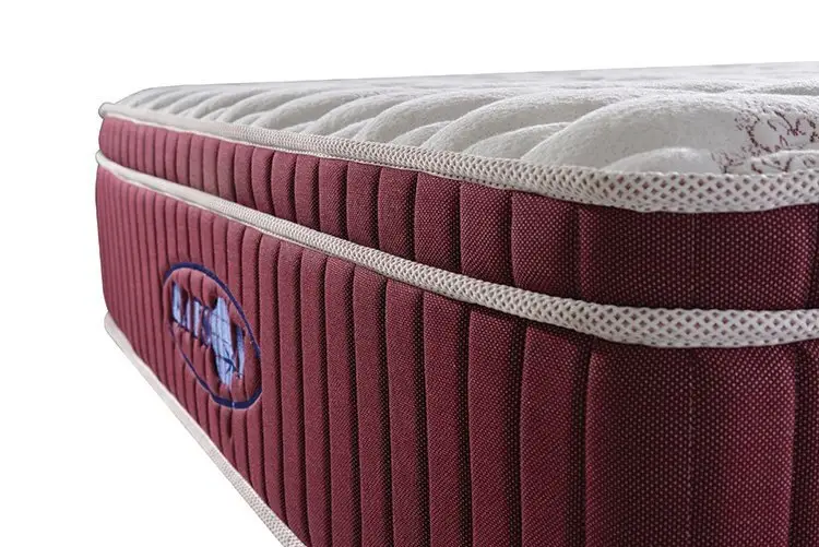 Rayson Mattress Custom 5 star hotel pillow brand Suppliers 5