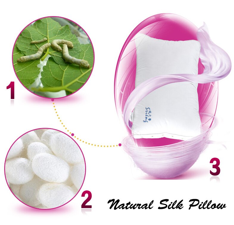Rayson Mattress-Environmental Protection Customizable Support Neck Buckwheat Pillow In Silk Discount-4