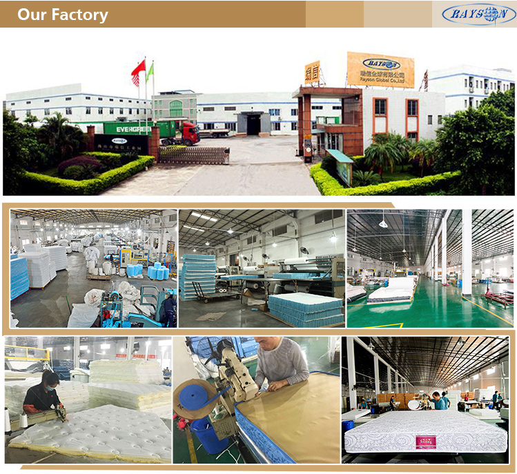 Rayson Mattress-Eco - Friendly Zipper Anti - Mite Comfort Latex Pillow Thailand Wide-used memory foa-10