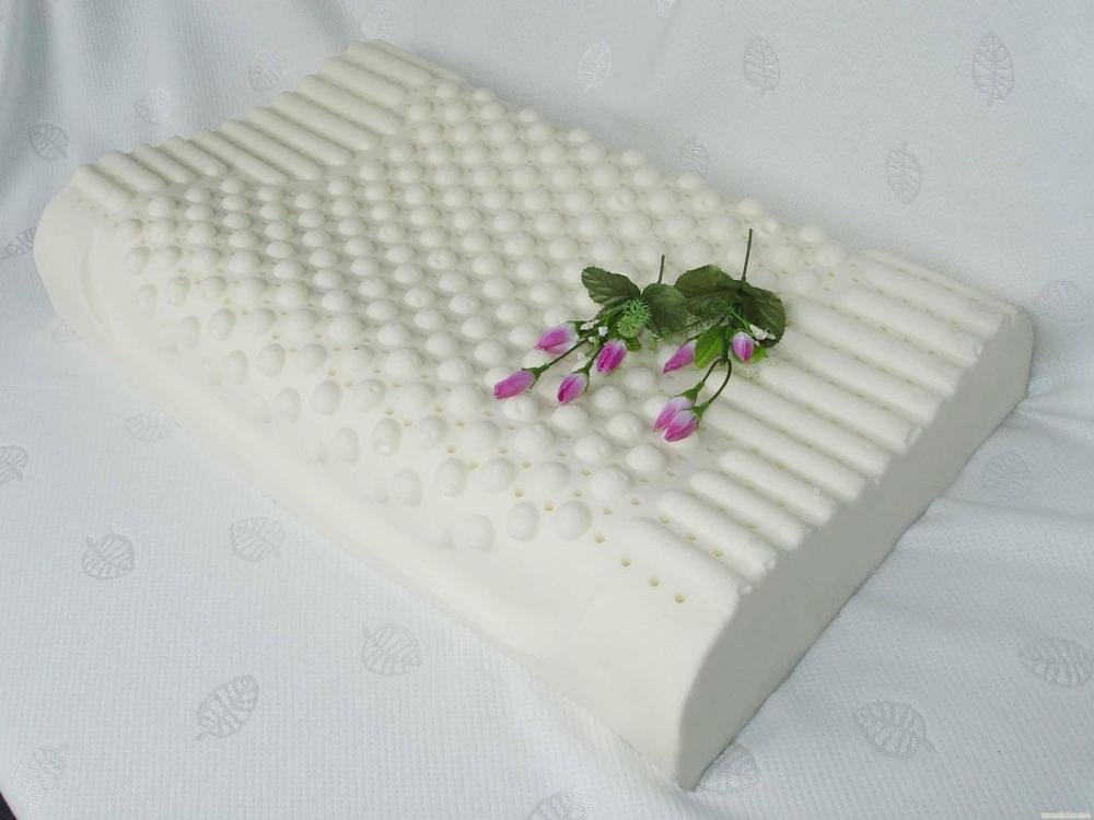 Rayson Mattress-Eco - Friendly Zipper Anti - Mite Comfort Latex Pillow Thailand Wide-used memory foa-3