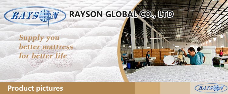 Rayson Mattress-Eco - Friendly Zipper Anti - Mite Comfort Latex Pillow Thailand Wide-used memory foa