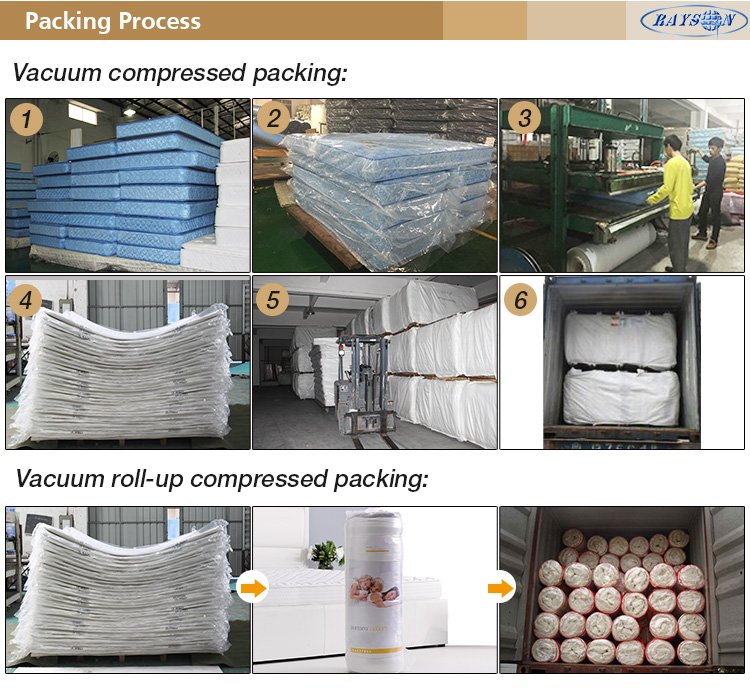 Rayson Mattress-Roll Up Roll Out Bed Beds Mattress Single Double Camping Low-Price single mattress c-9