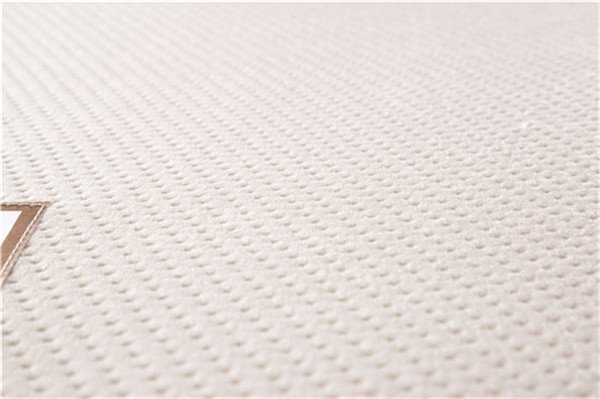 Rayson Mattress-Roll Up Roll Out Bed Beds Mattress Single Double Camping Low-Price single mattress c-2
