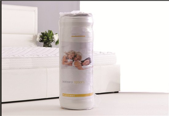 Rayson Mattress-Roll Up Roll Out Bed Beds Mattress Single Double Camping Low-Price single mattress c-5