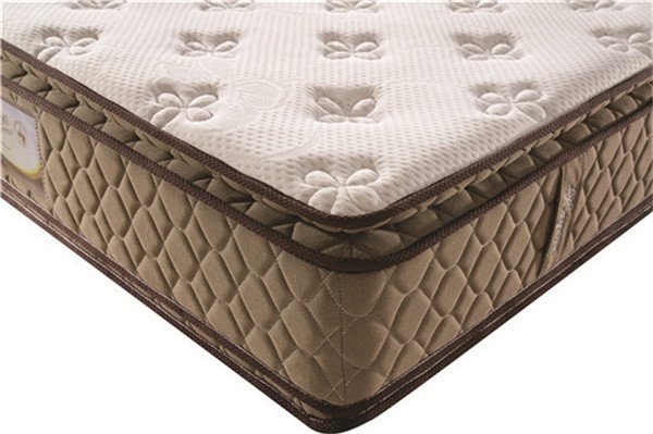Rayson Mattress-Japanese 2016 Thick Double Pillow Top Spring Mattress Wholesale Hot-selling memory f-2