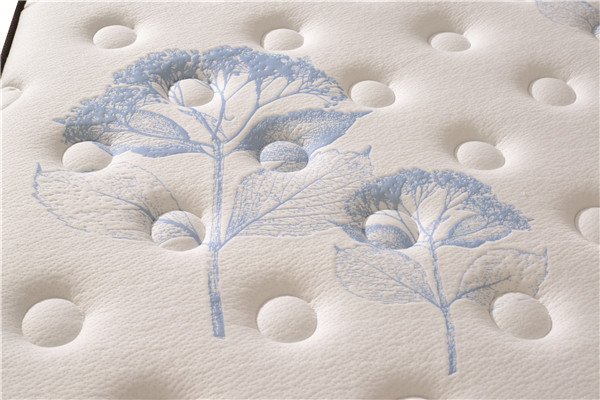 Rayson Mattress-Bedroom Furniture Pillow Top Mattress Factory Memory Foam Mattress Fashion Design ma-4