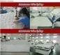 Rayson Mattress customized z by malouf natural talalay latex zoned pillow manufacturers139 5