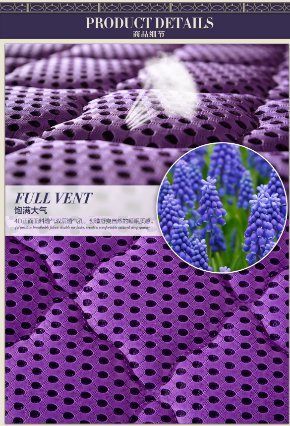 Rayson Mattress-Custom Soft Home 4D Fabric Breathability Highly 23 CM Bedding Sets Popular best late-3