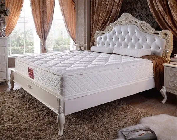 Rayson Mattress customized z by malouf natural talalay latex zoned pillow manufacturers211 2