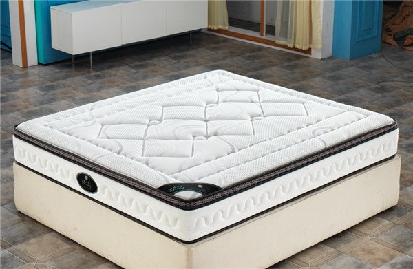 Rayson Mattress-Polyester Wadding Thicken Dream Night Mattress 200X200 Fashion Design best mattress -1