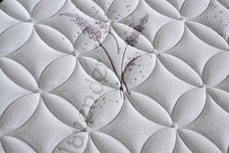 Rayson Mattress plush single spring mattress Supply 11