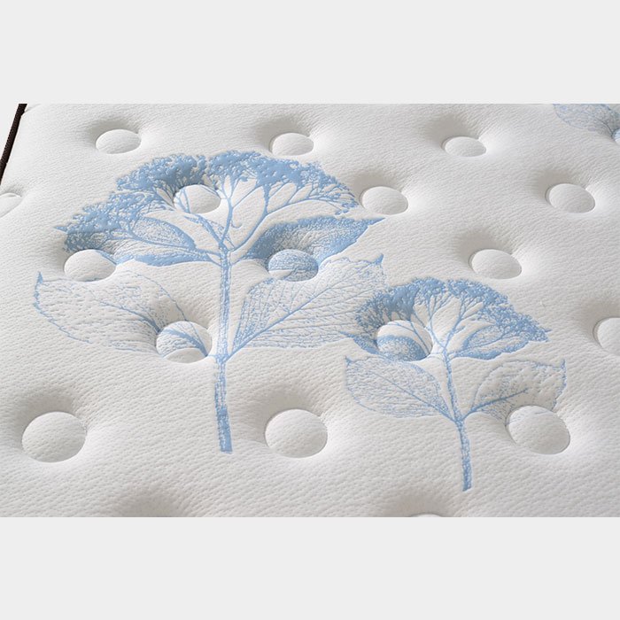 Rayson Mattress Array image88