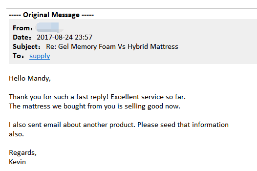Rayson Mattress-Furniture Wholesale Customer From India | News On Rayson Spring Mattress