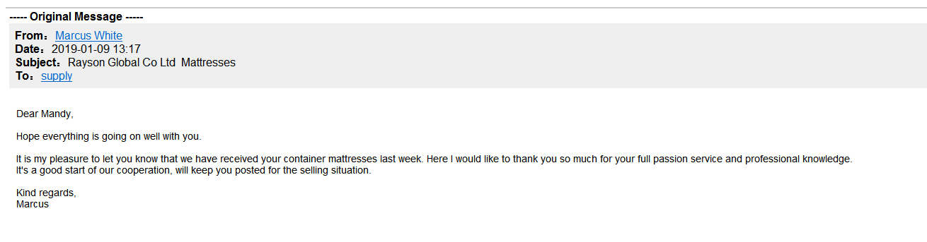 Rayson matiresi-dara ju Lemọlemọfún orisun omi matiresi Usa ose Pay Cash Ni Factory Ra The