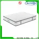 Rayson Mattress euro spring mattress sizes Supply 1