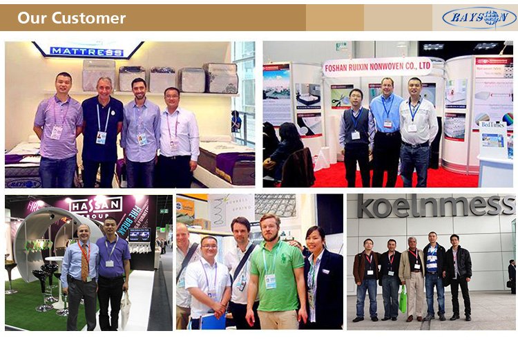 Rayson Mattress-Sexy King Size Two Layers Spring Mattress Bedroom Furniture Brand New memory foam ma-13